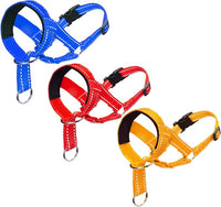 Dog Head Collars Training Harness