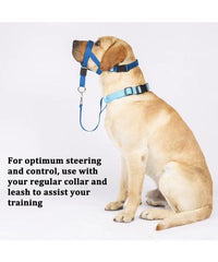 Dog Head Collars Training Harness