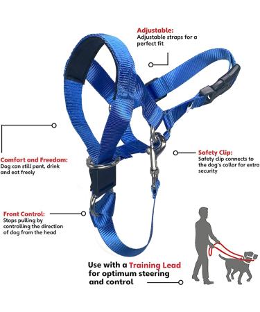 Dog Head Collars Training Harness