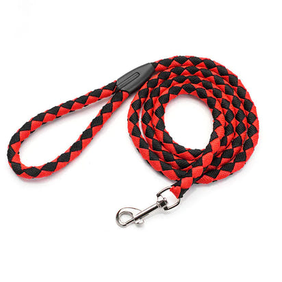 Non-Retractable Nylon Braided Dog Leash for Easy Control