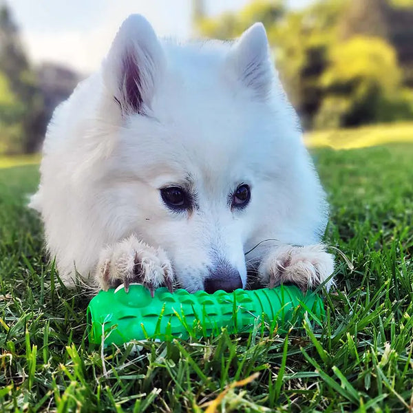Croc Dog Chew Toy for Dental Care