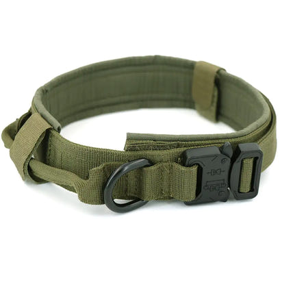 Nylon Anti-Wear Dog Traction Collar