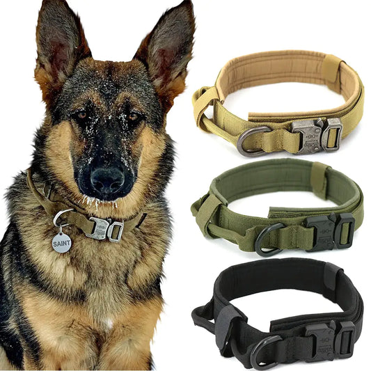 Nylon Anti-Wear Dog Traction Collar