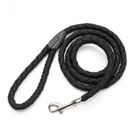 Non-Retractable Nylon Braided Dog Leash for Easy Control