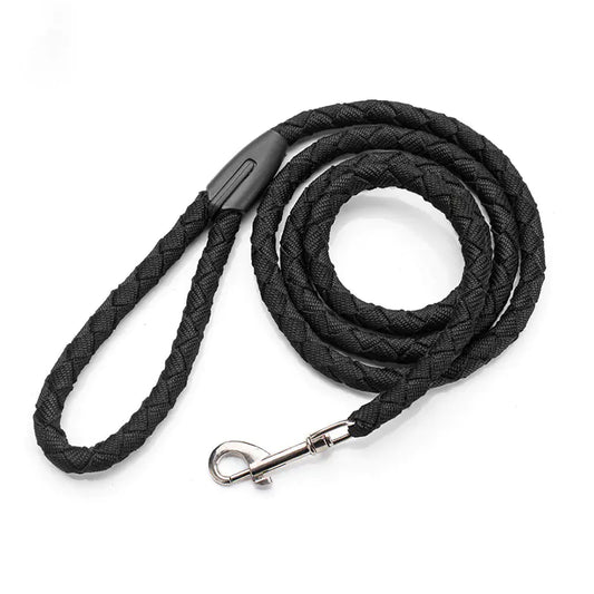 Non-Retractable Nylon Braided Dog Leash for Easy Control
