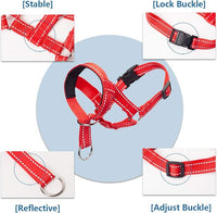 Dog Head Collars Training Harness