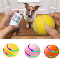 Vibrating Magic Ball - PetDroid Interactive Dog Toy (Single)