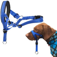 Dog Head Collars Training Harness