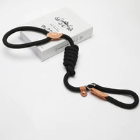 Slip Lead Dog Training Leash