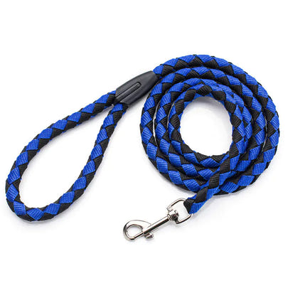 Non-Retractable Nylon Braided Dog Leash for Easy Control