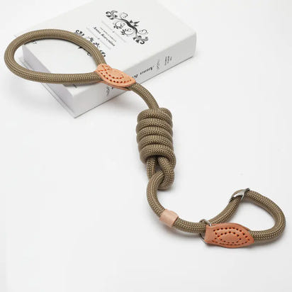 Slip Lead Dog Training Leash