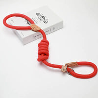 Slip Lead Dog Training Leash